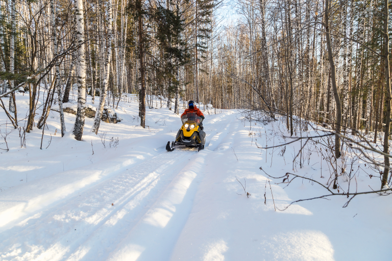 Athlète conduisant une motoneige dans les bois.